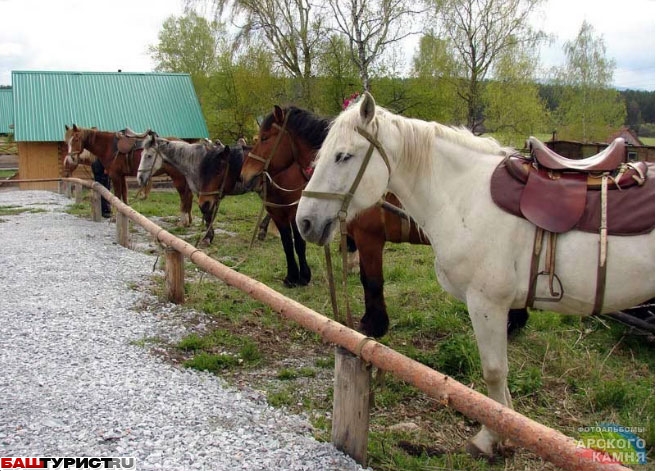 База Арский Камень 