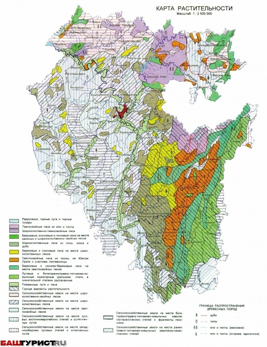 Карта растительности РБ