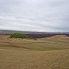 Горы-останцы. Сусактау. Долина реки Дема