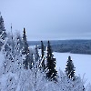 Павловское водохранилище