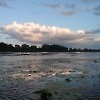 Озеро Елань