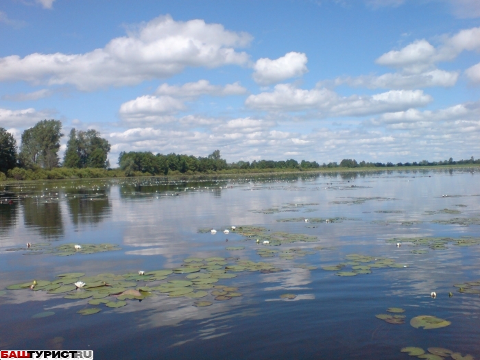 Озеро Елань