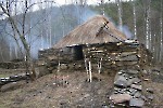 Борисовские печи, углежоговые печи