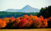 Арвякрязь (Арвяк-Рязь)