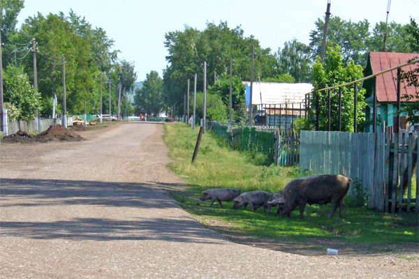 Село Табынск